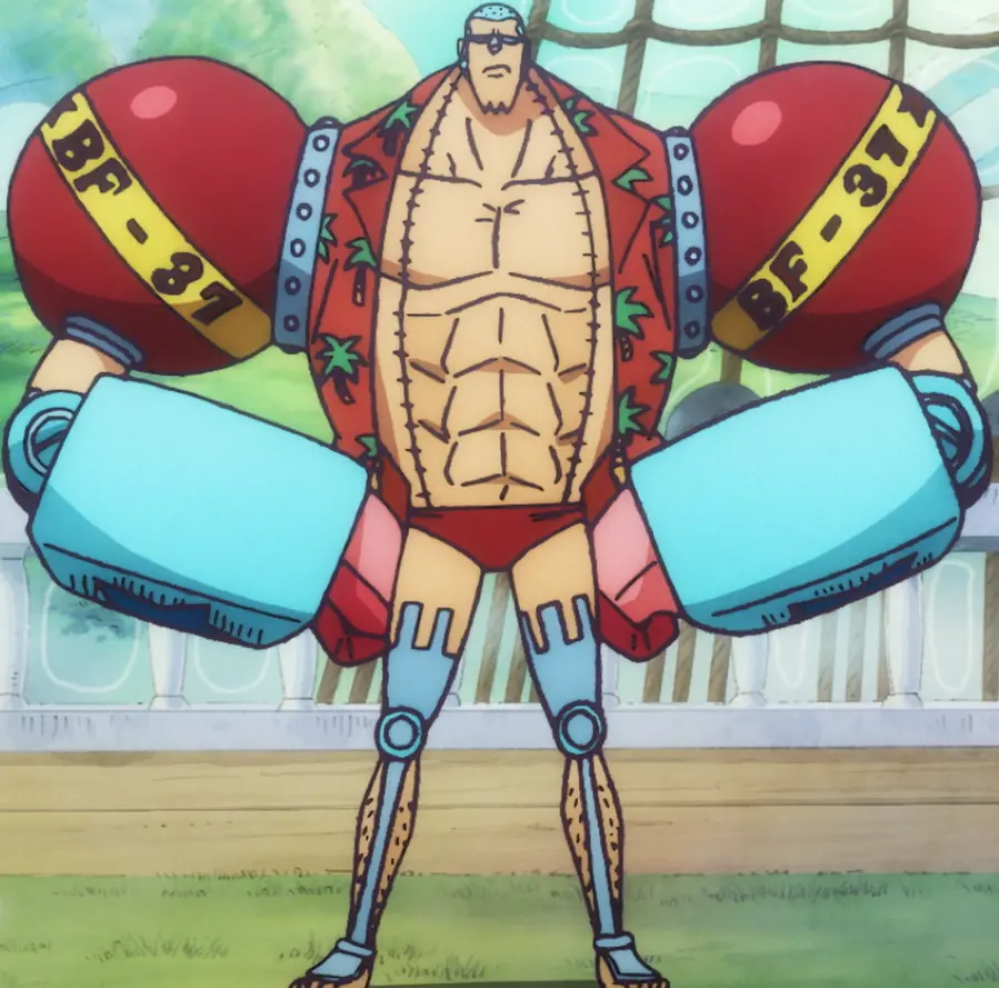 Franky – The Super Cyborg Shipwright 2 Franky from Straw Hat Pirates